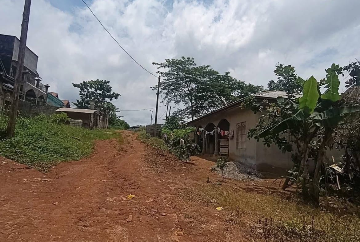 Terrains titrés à vendre à Yaoundé Carrière Monti