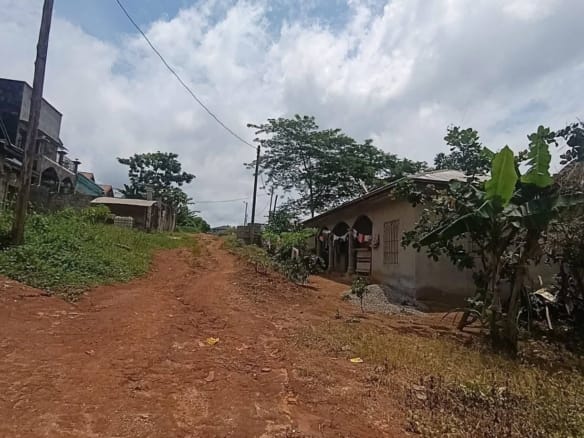 Terrains titrés à vendre à Yaoundé Carrière Monti