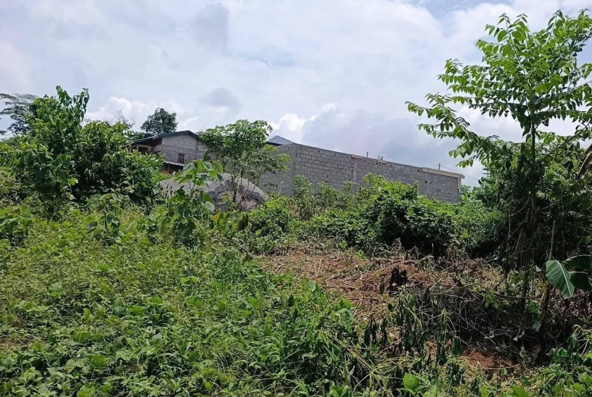 Terrains titrés à vendre à Yaoundé Carrière Monti