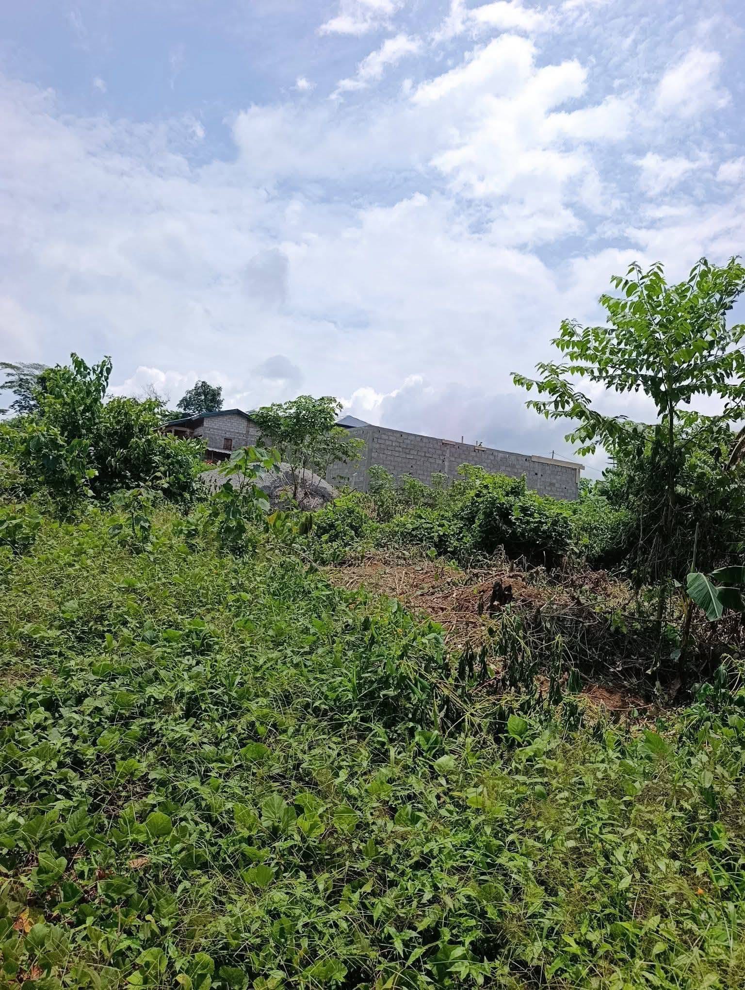 Terrains titrés à vendre à Yaoundé Carrière Monti