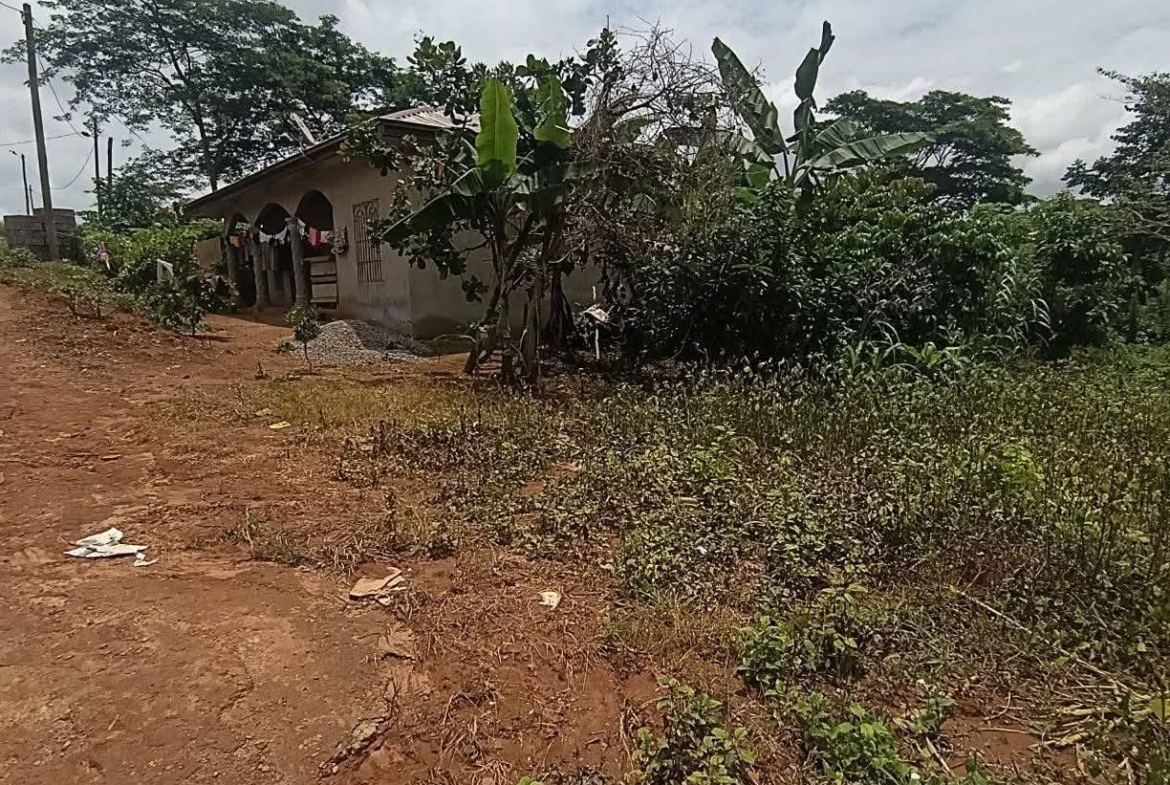 Terrains titrés à vendre à Yaoundé Carrière Monti
