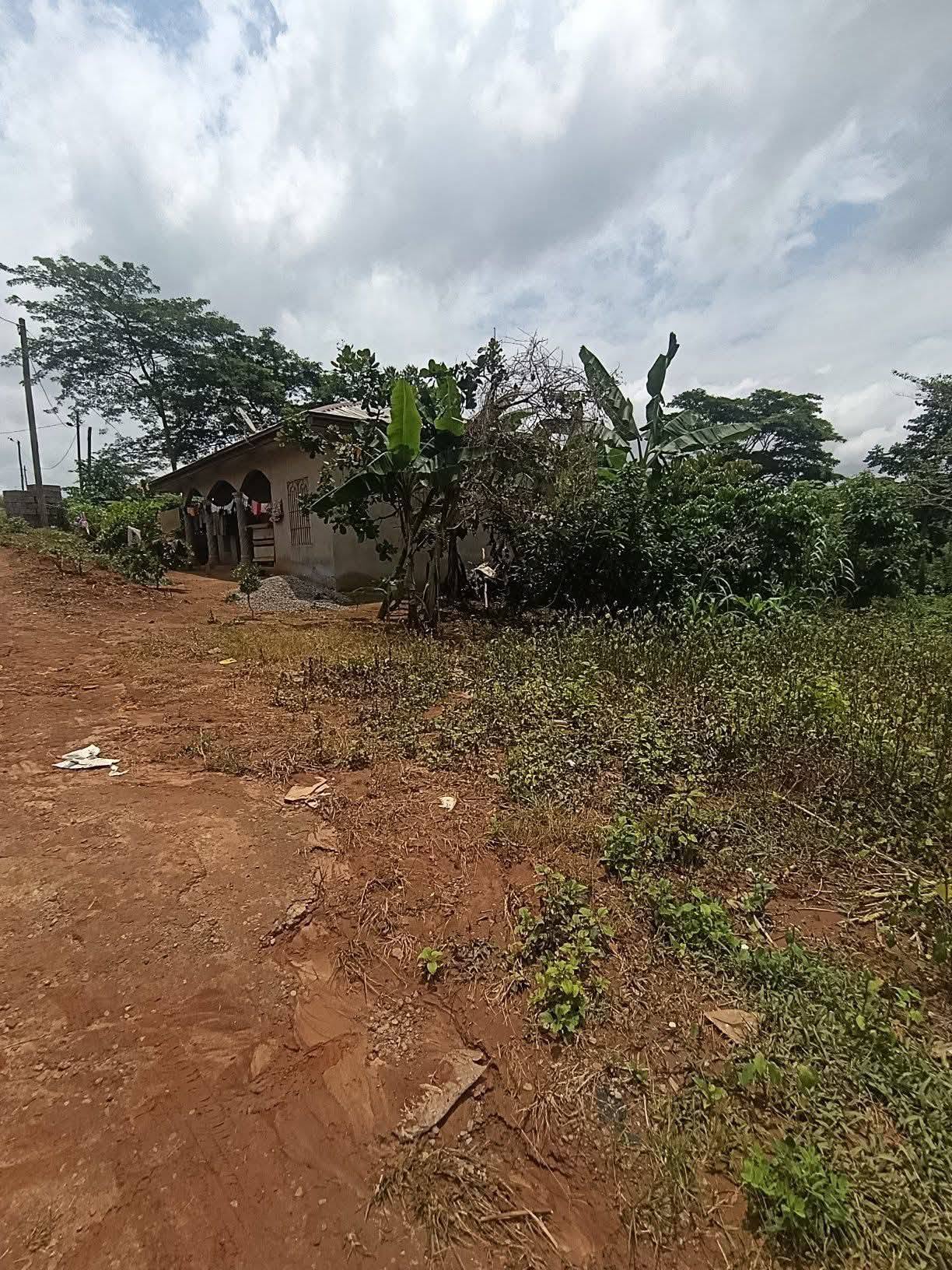 Terrains titrés à vendre à Yaoundé Carrière Monti
