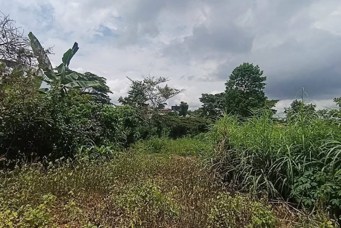 Terrains titrés à vendre à Yaoundé Carrière Monti