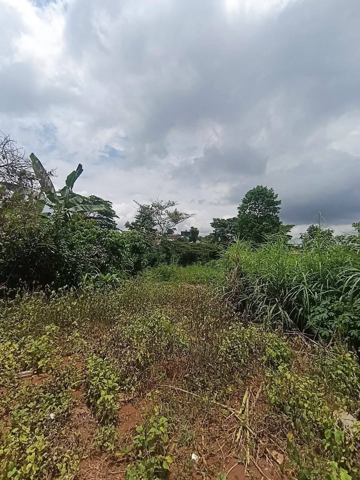Terrains titrés à vendre à Yaoundé Carrière Monti