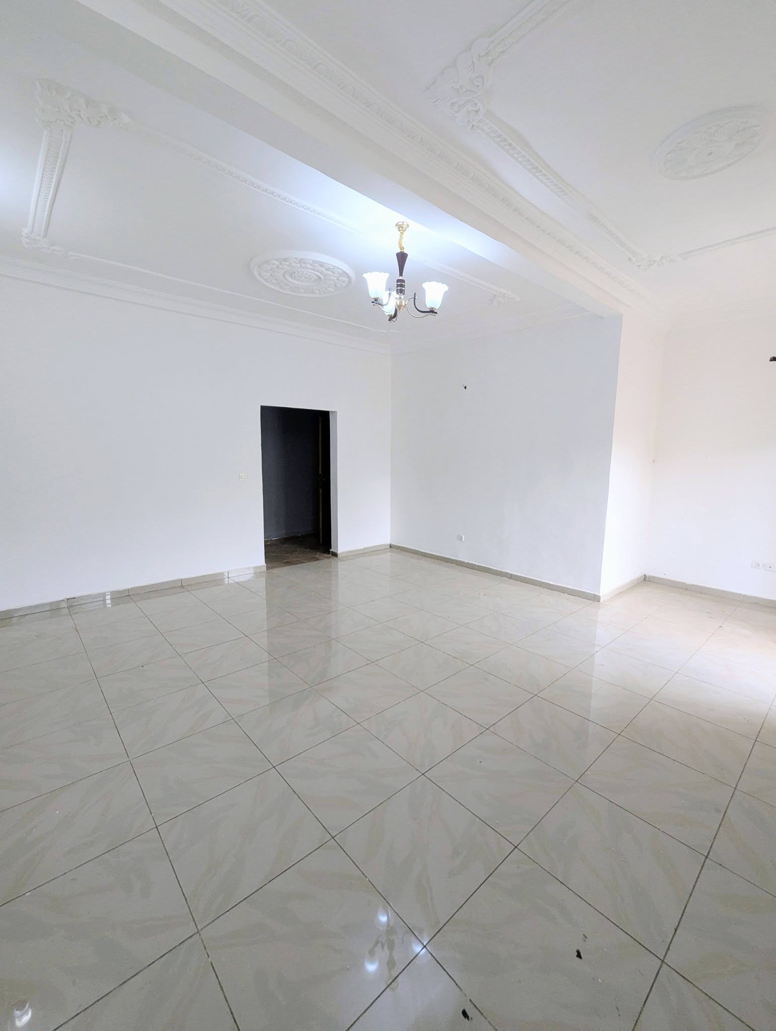 YAOUNDÉ TSINGA VILLAGE MAGNIFIQUE APPARTEMENT NEUF